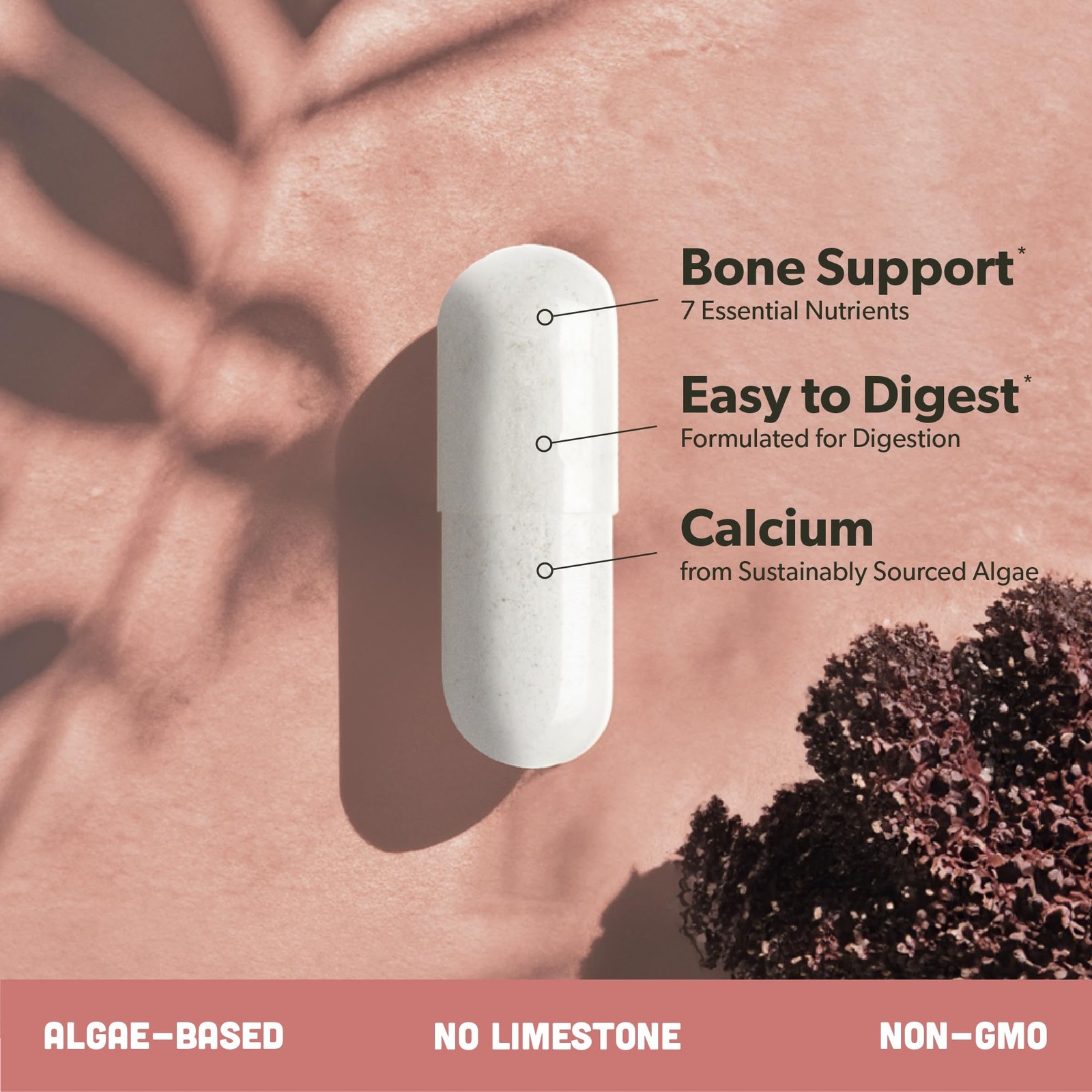 Calcium Supplement – Whole Food with Vitamin K2 90 Count (Pack of 1)