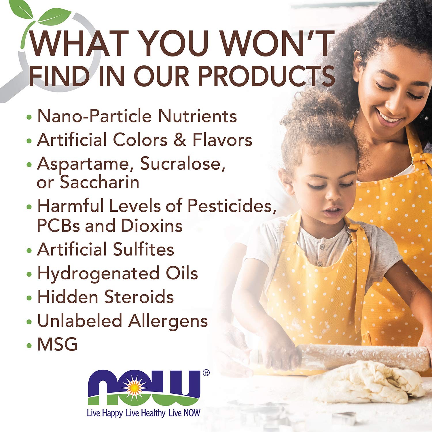 NOW Foods, Certified Organic Monk Fruit Liquid, 8 Ounce (Pack of 1)