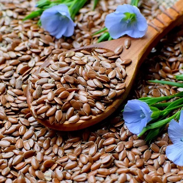 Flax Seed Superfood-High in Omega3, Fiber ,Antioxidants, Plant Protein,digestion