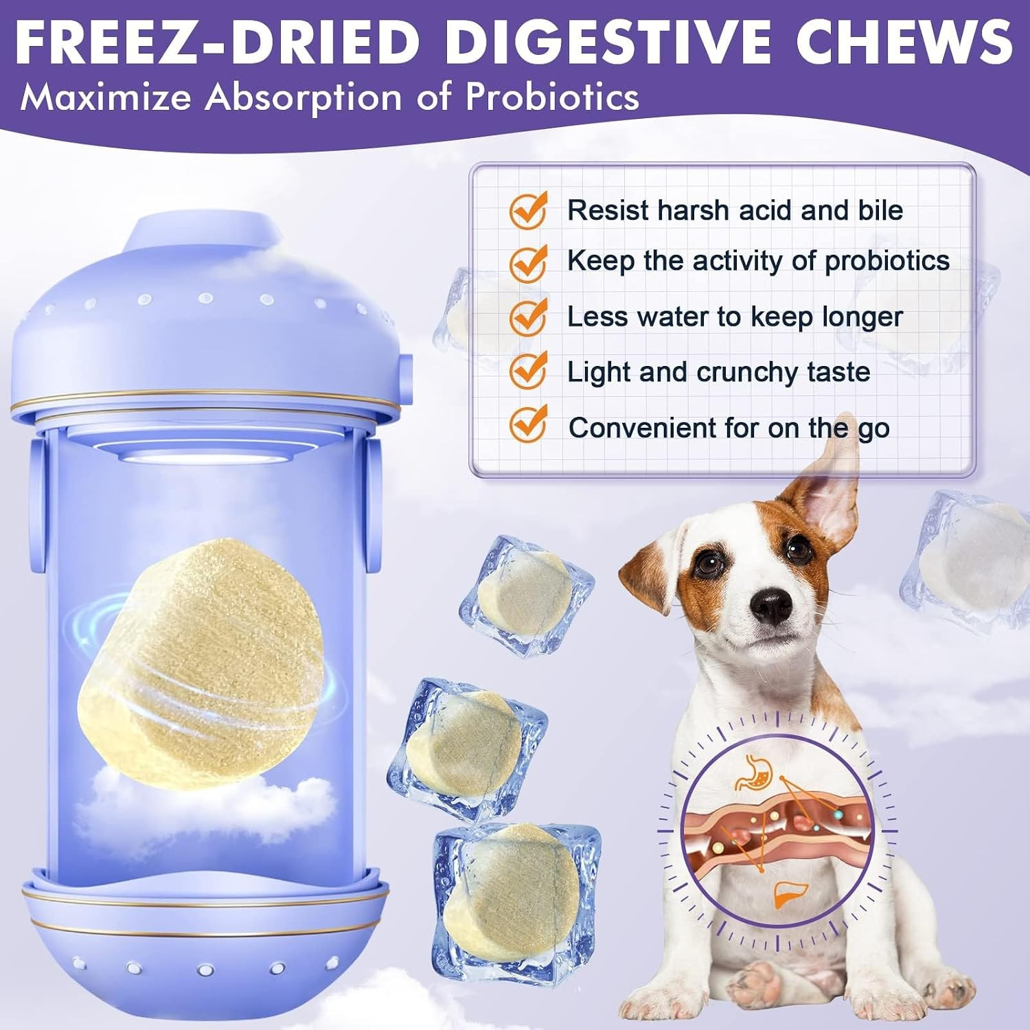 DRFOSTER Probiotics & Digestive Enzymes for Dogs, Freeze-Dried, 120 Bites | 3-In
