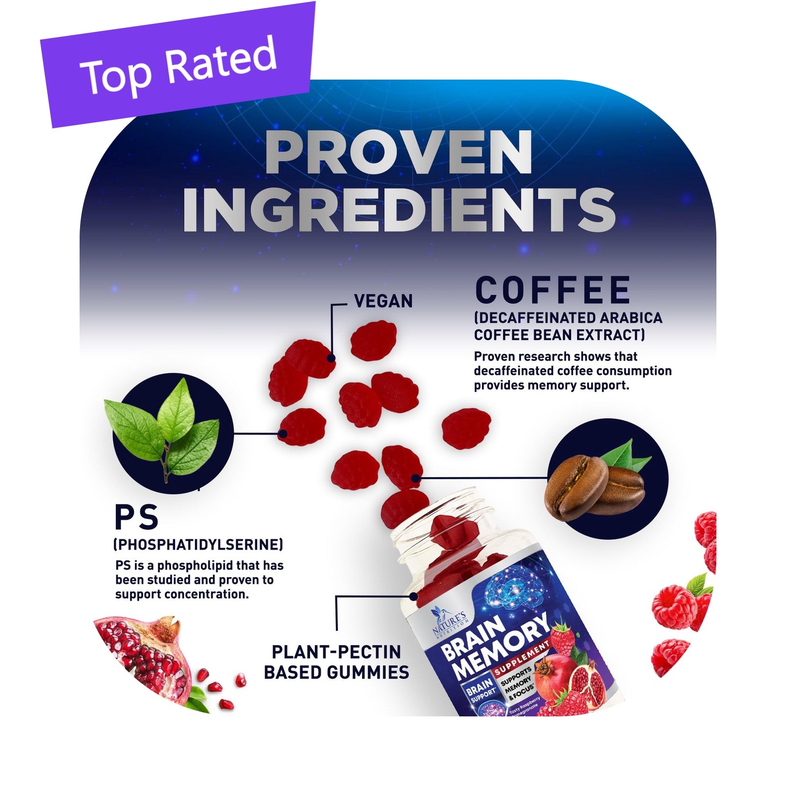 Nature’s Nutrition Brain Gummies Memory Focus 60 Count