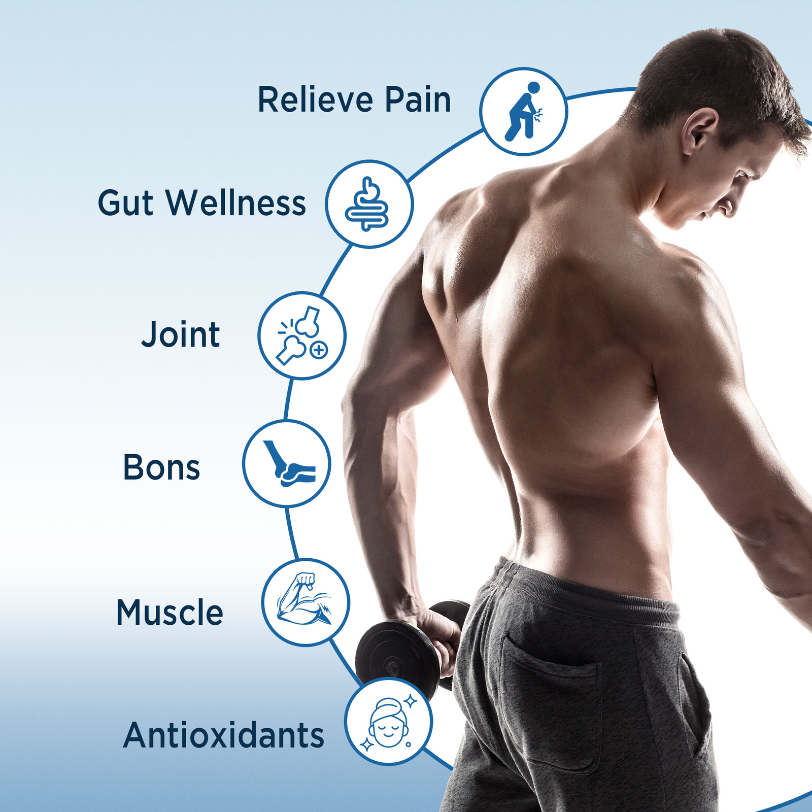 Body PC-159 – Creatine Monohydrate,Bone and Joint Support,Muscle and Gut Health