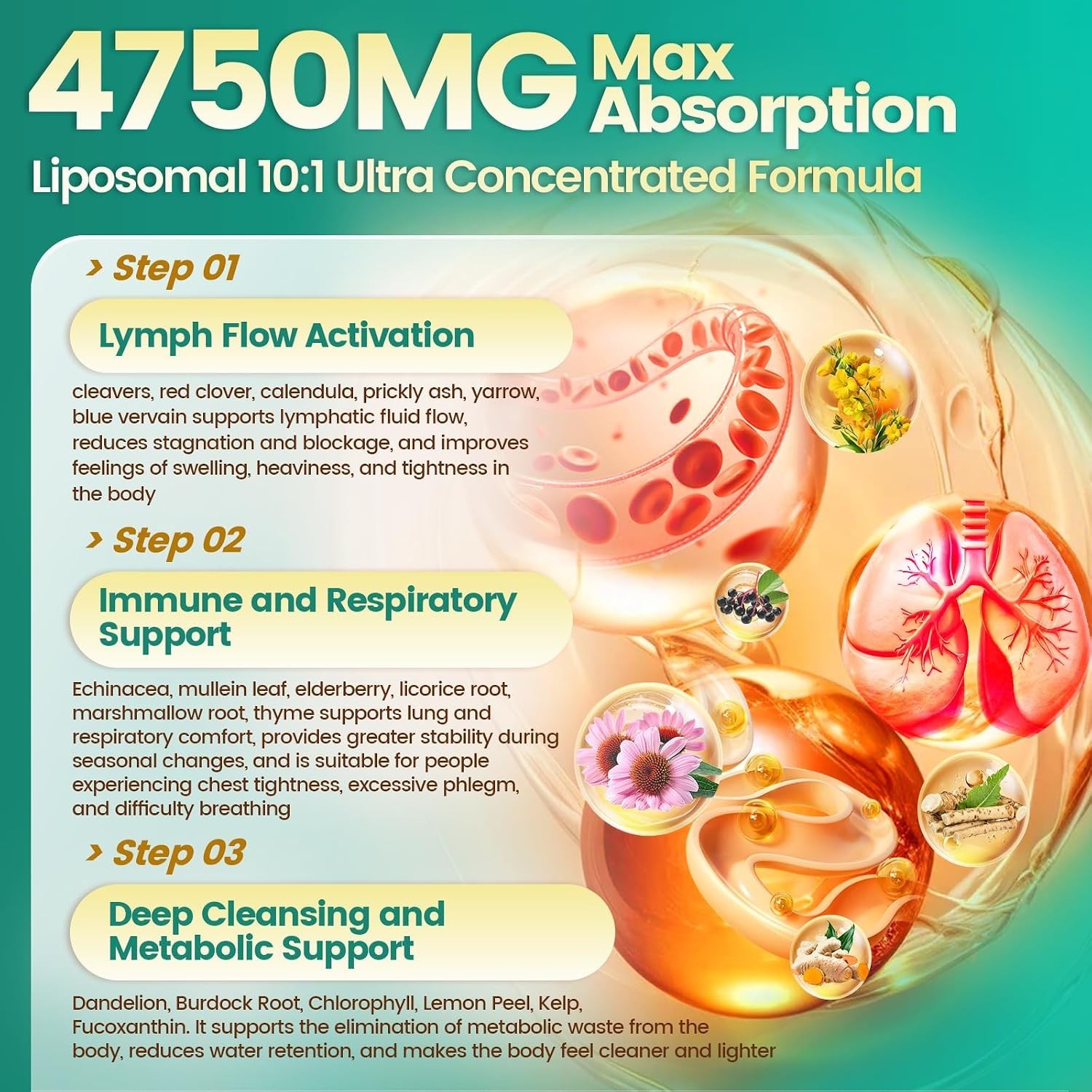 Natural 27-in-1 Lymphatic Support with Mullein & Burdock – High Potency Formula