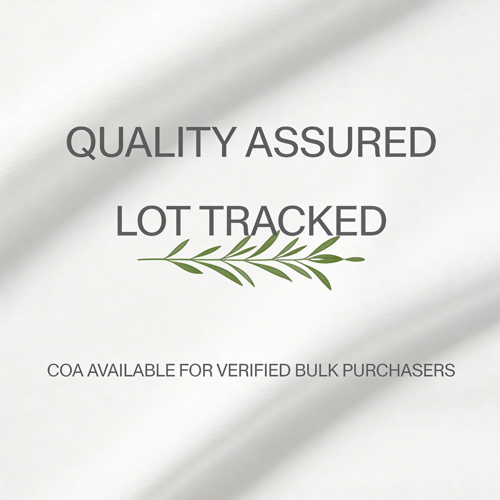 Organic Amla Powder 20KG Bulk Commercial Supply | Phyllanthus Emblica Wholesale