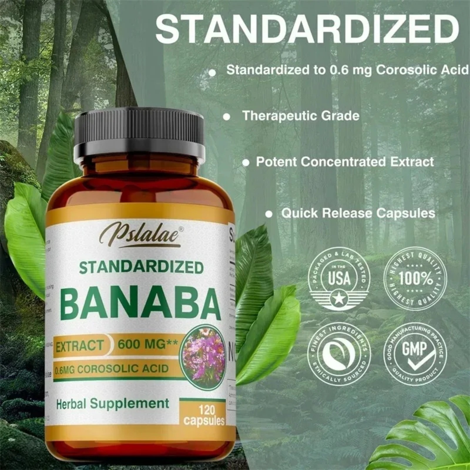 Banaba 240pcs – Supports Heart and Overall Health, Blood Circulation, Metabolism