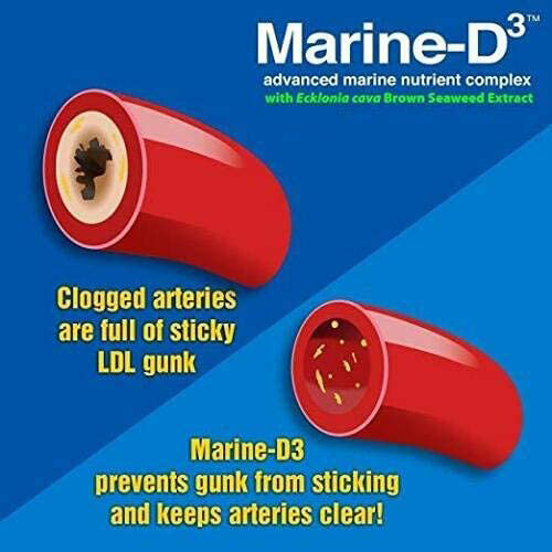 Marine Essentials | Marine-D3 | Anti-Aging | Omega-3 | 4 Bottles (240 Capsules)