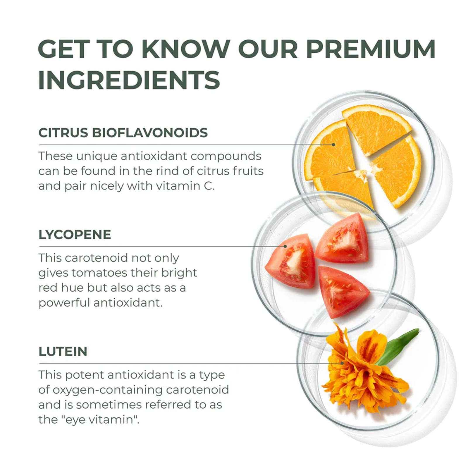 Harvest Primal Primal Multivitamin – Minerals – Energy Immune Brain Heart Health