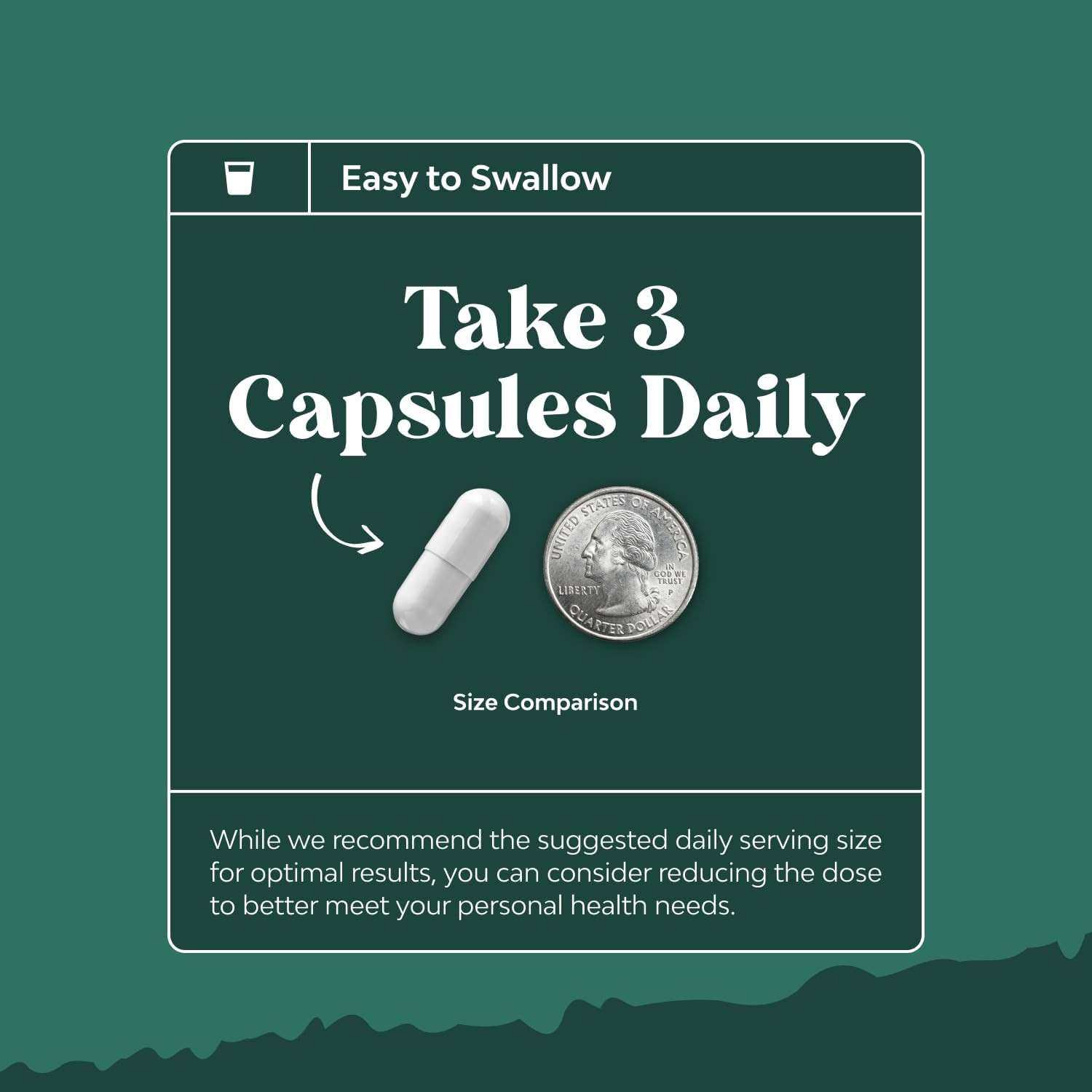 Digestive Enzymes with Ox Bile – Ox Bile Supplements for No Gallbladder with Try