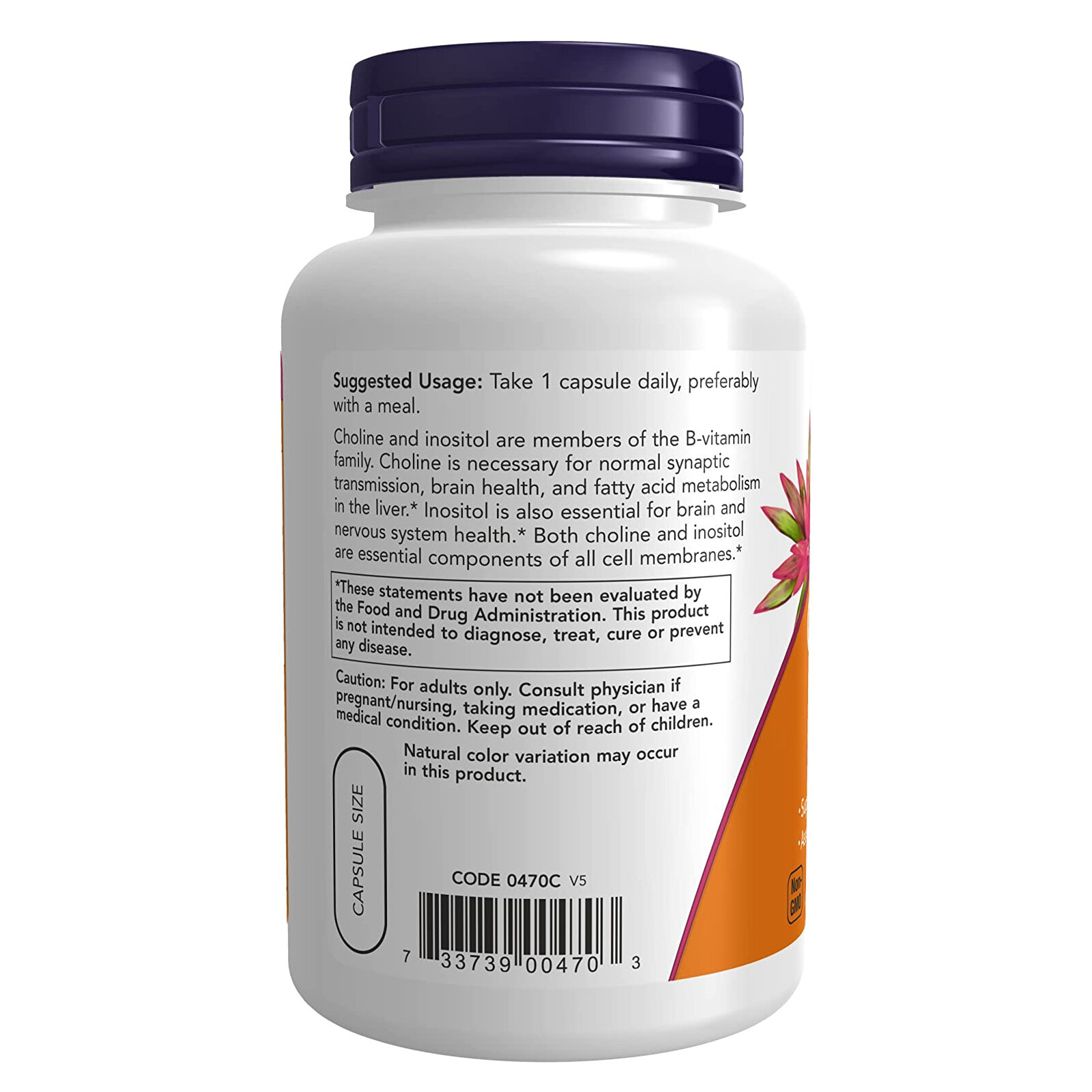 NOW FOODS Choline & Inositol 500 mg Capsules