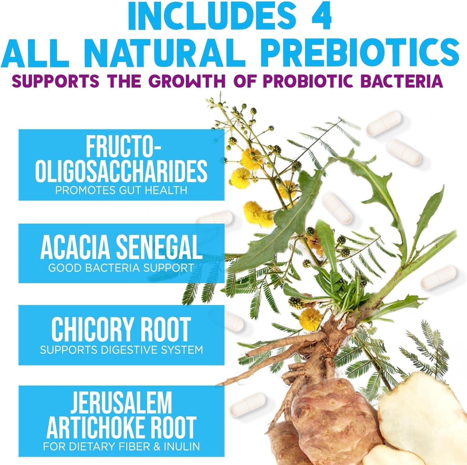 Daily Probiotic and Prebiotic Supplement 60 Billion CFU 10 Diverse Strains
