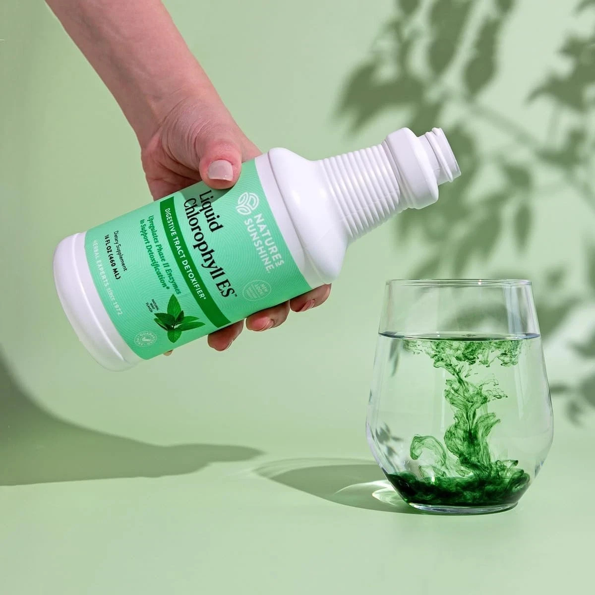 Nature’s Sunshine Liquid Chlorophyll 16 oz Digestive Detox Free Shipping