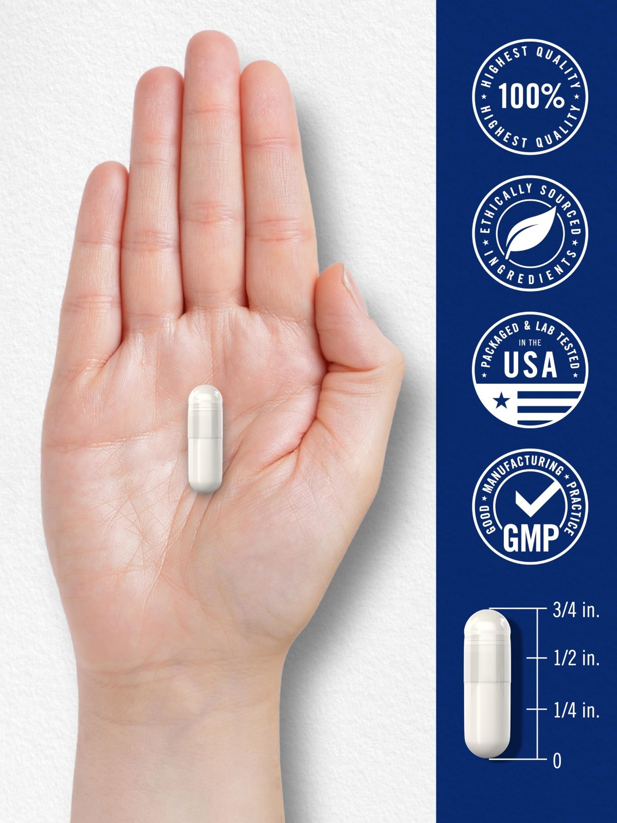 15mg Methylfolate Capsules | 120 Count | Non-GMO, Gluten Free | Max Potency Supp