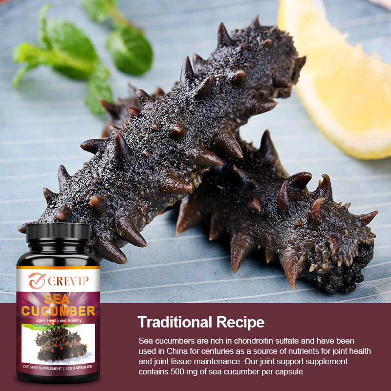 Sea Cucumber 1000mg – Supports Cartilage Protection and Connective Tissue Health
