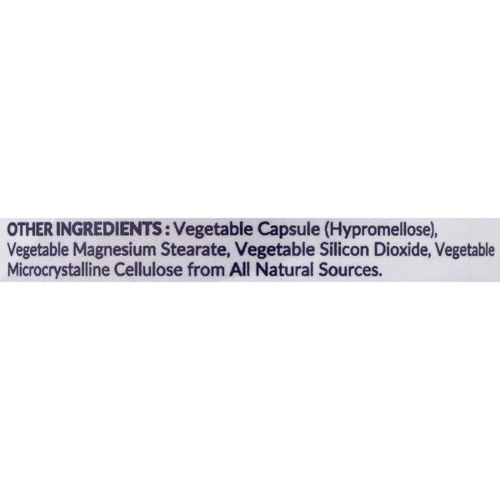 Wholesome Wellness Raw Probiotic Digestive Enzymes 100 Billion Cfu 30 Pills