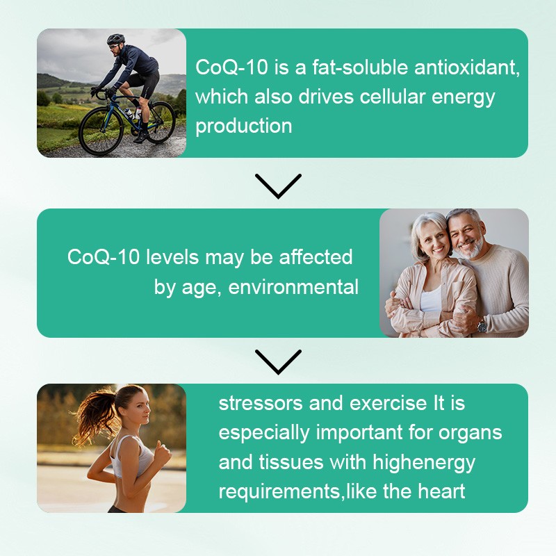 COQ 10 Coenzyme Q-10 200mg Heart Health Support, Pormotes Energy & Stamina