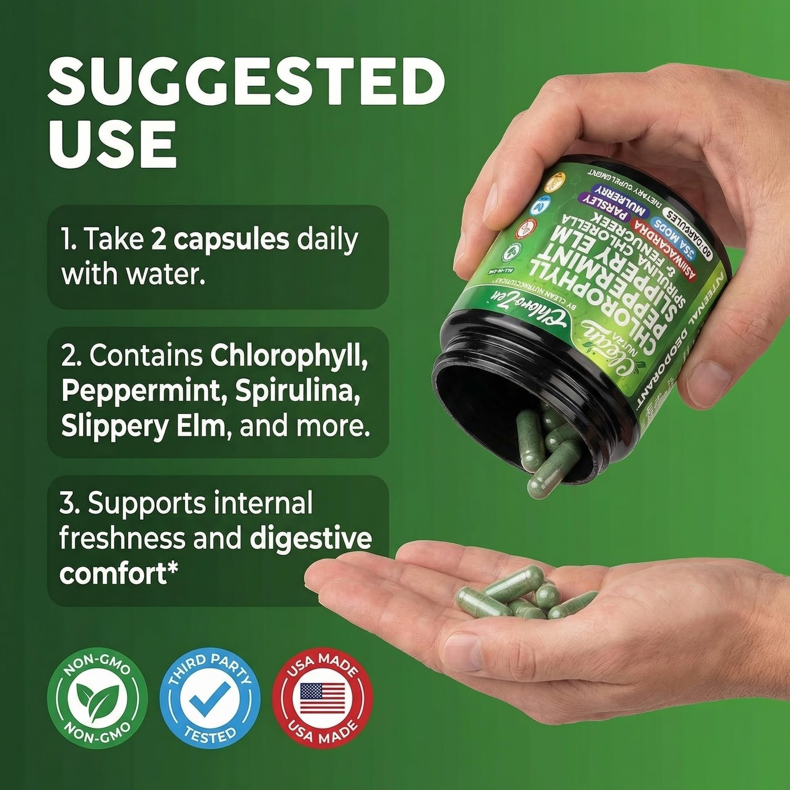 Clean Nutra ChloroZen Chlorophyll Peppermint + Spirulina 60 Caps Veg Exp 05/2028