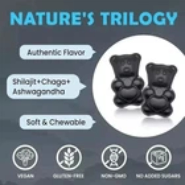 2xSHILAJIT + ASHWAGANDHA GUMMIES Potent Antioxidant Immune Support Overal Health
