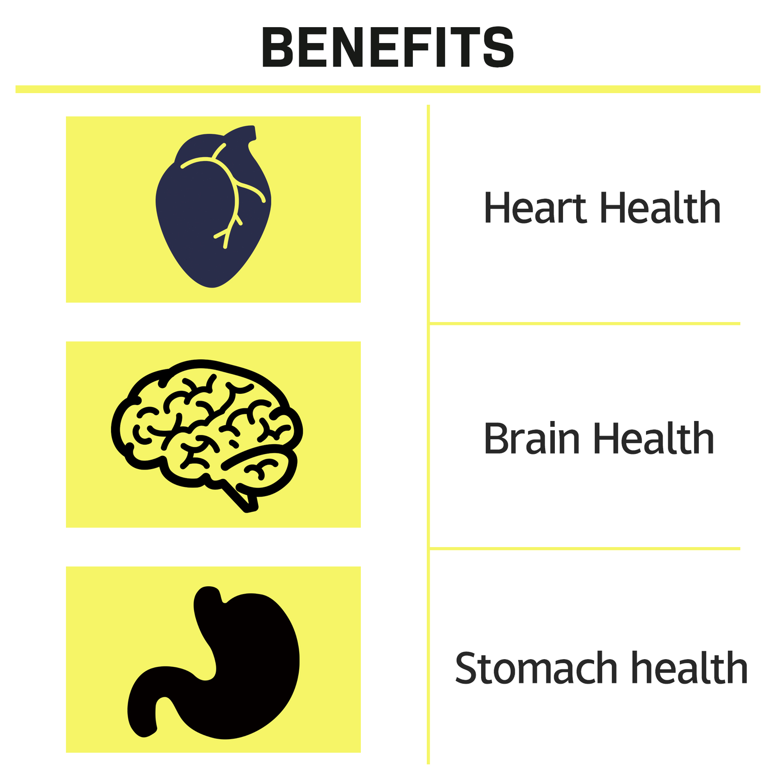 Bee Pollen – Promotes Digestion, Gut, Heart, and Brain Health, Antioxidant