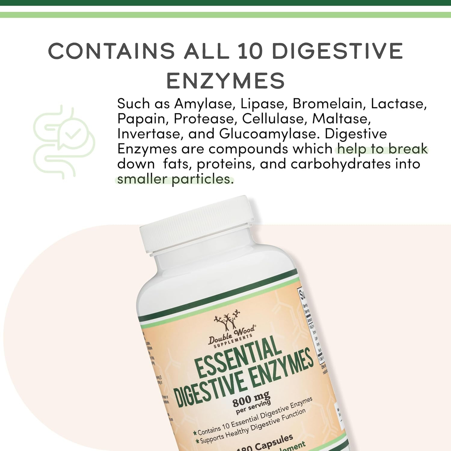 Double Wood Digestive Enzymes 800mg Blend 10 Essential Enzymes