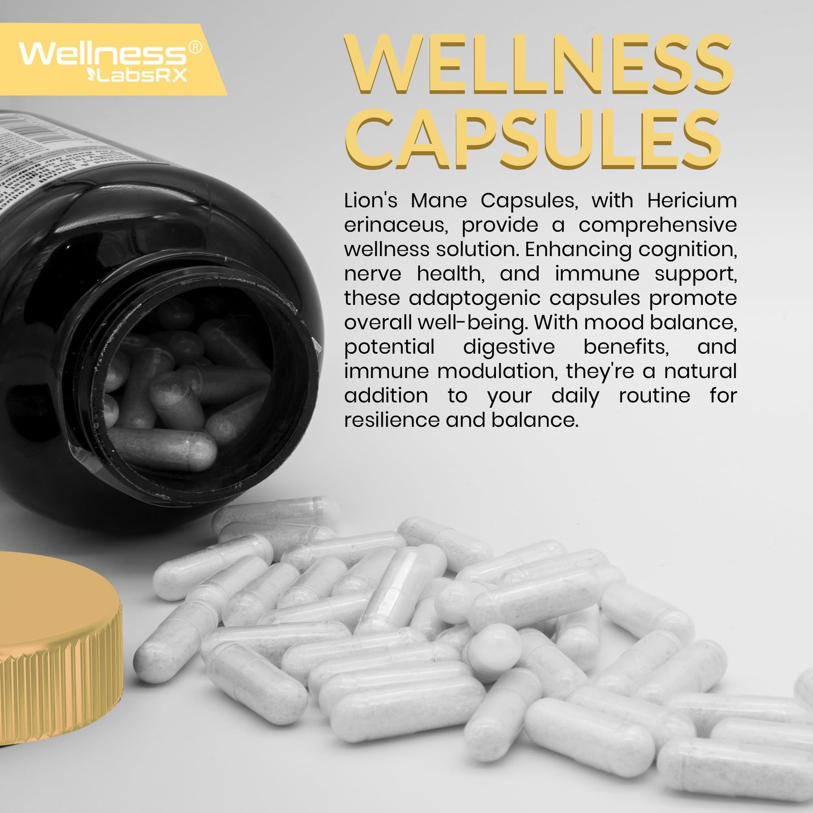 Organic Lions Mane Capsules – 120 Count for Memory, Focus, and Brain Health
