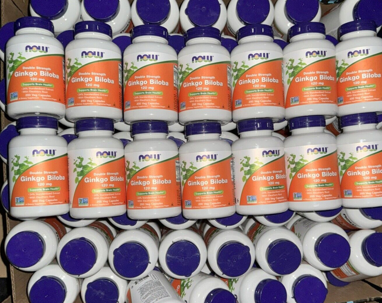 NOW FOODS Ginkgo Biloba Double Strength 120 mg 200 Veg Capsules Exp 2027