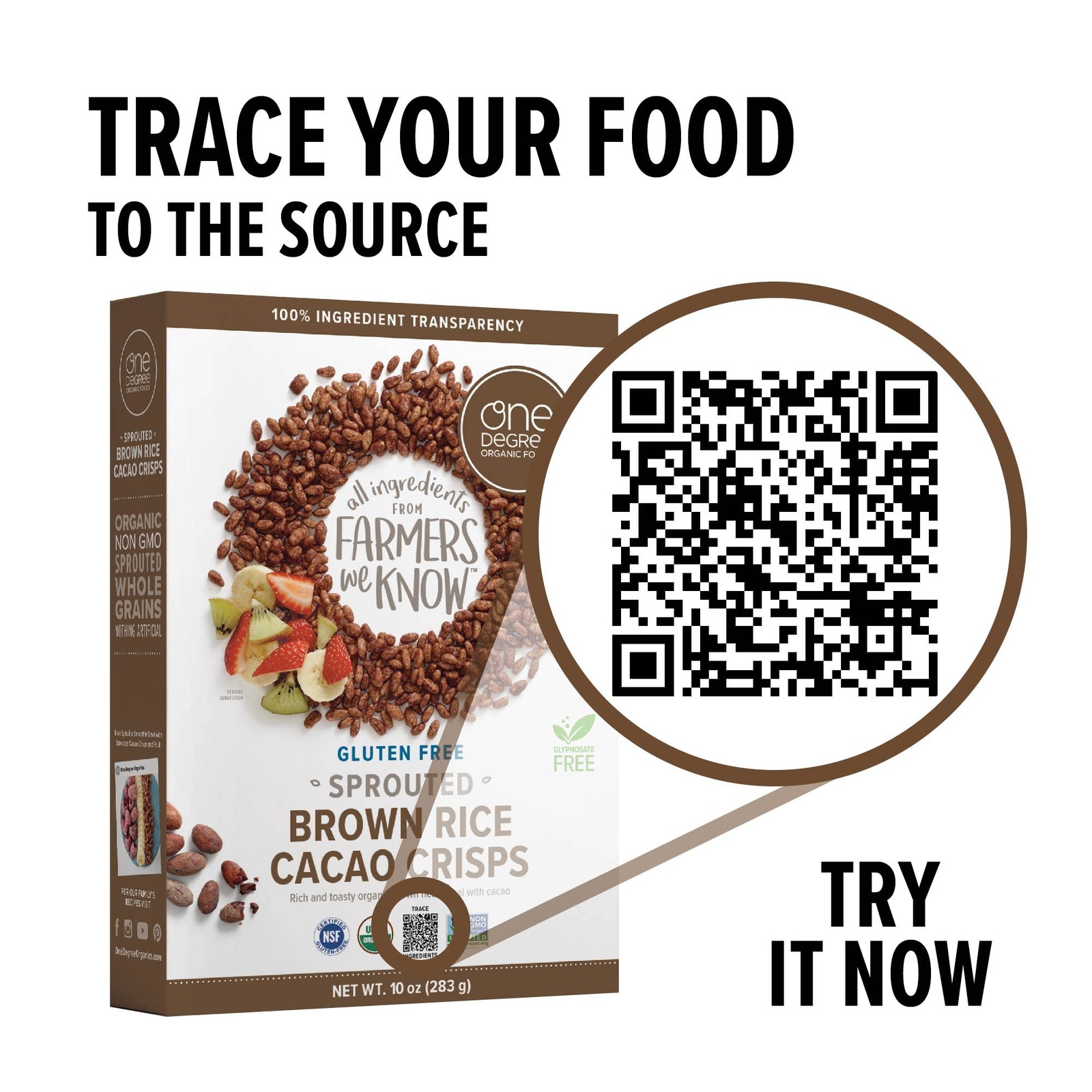 One Degree Organic Foods Sprouted Brown Rice Cacao 10 Ounce (Pack of 6)