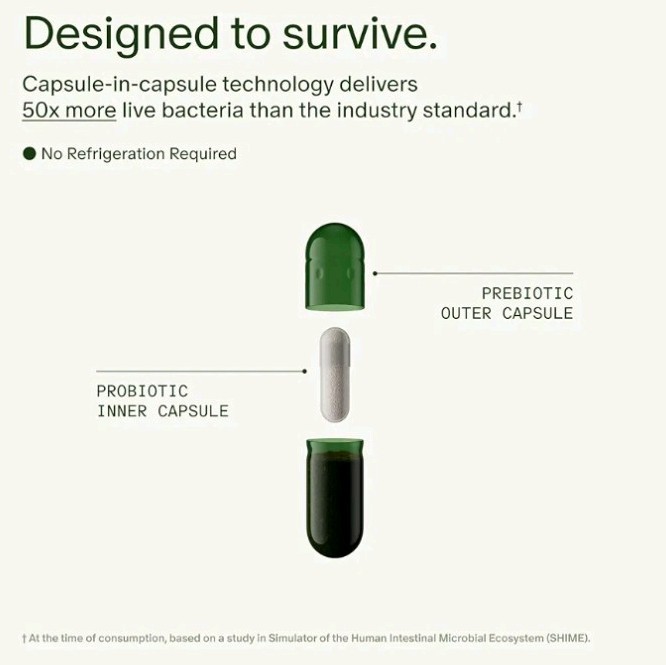 Seed DS-01 Rapid Gut Recovery 14 Day Gut Reset w/ Probiotic Prebiotic Ships FREE