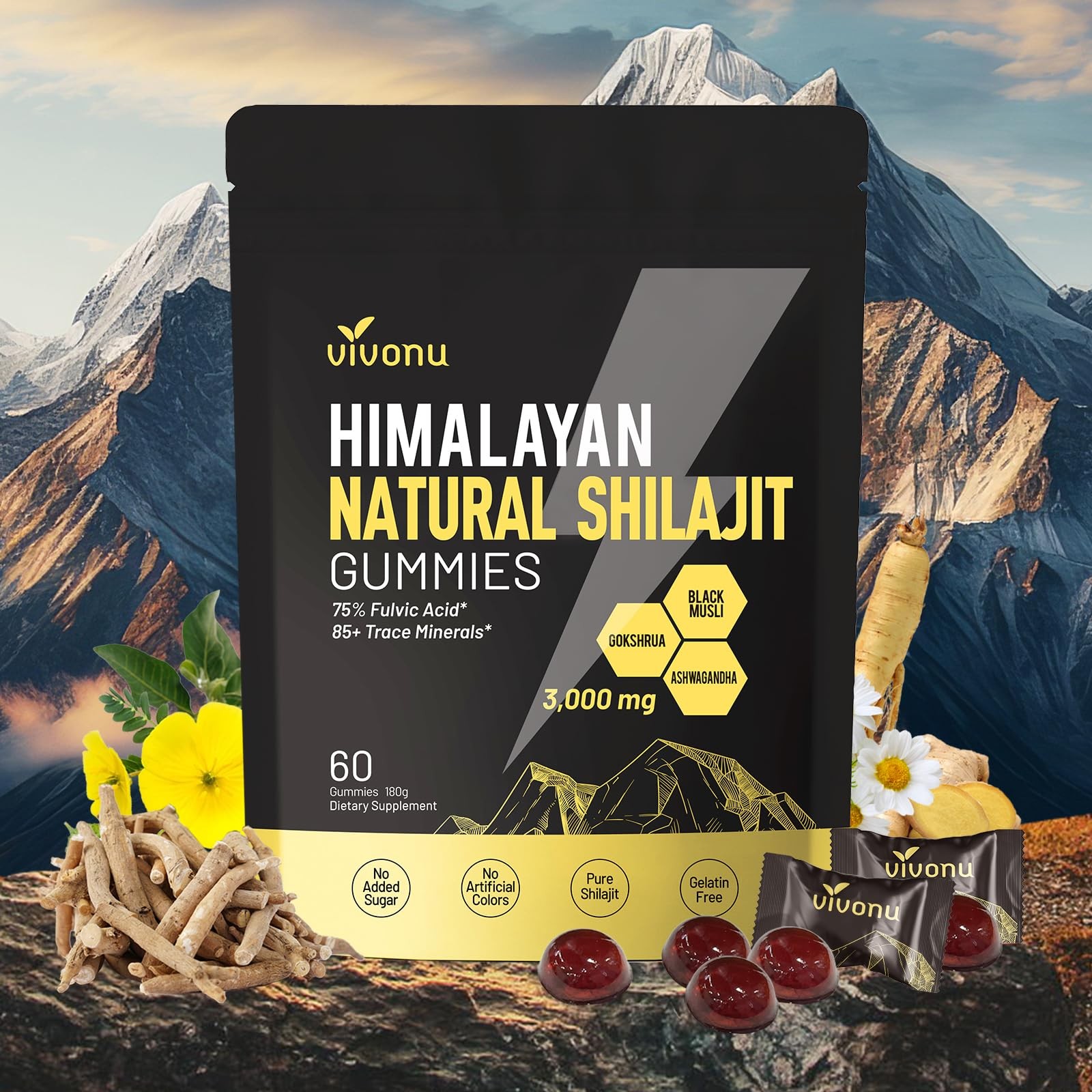 Himalayan9 Shilajit Gummies with 60 Count (Pack of 1), 1 Bag / 60