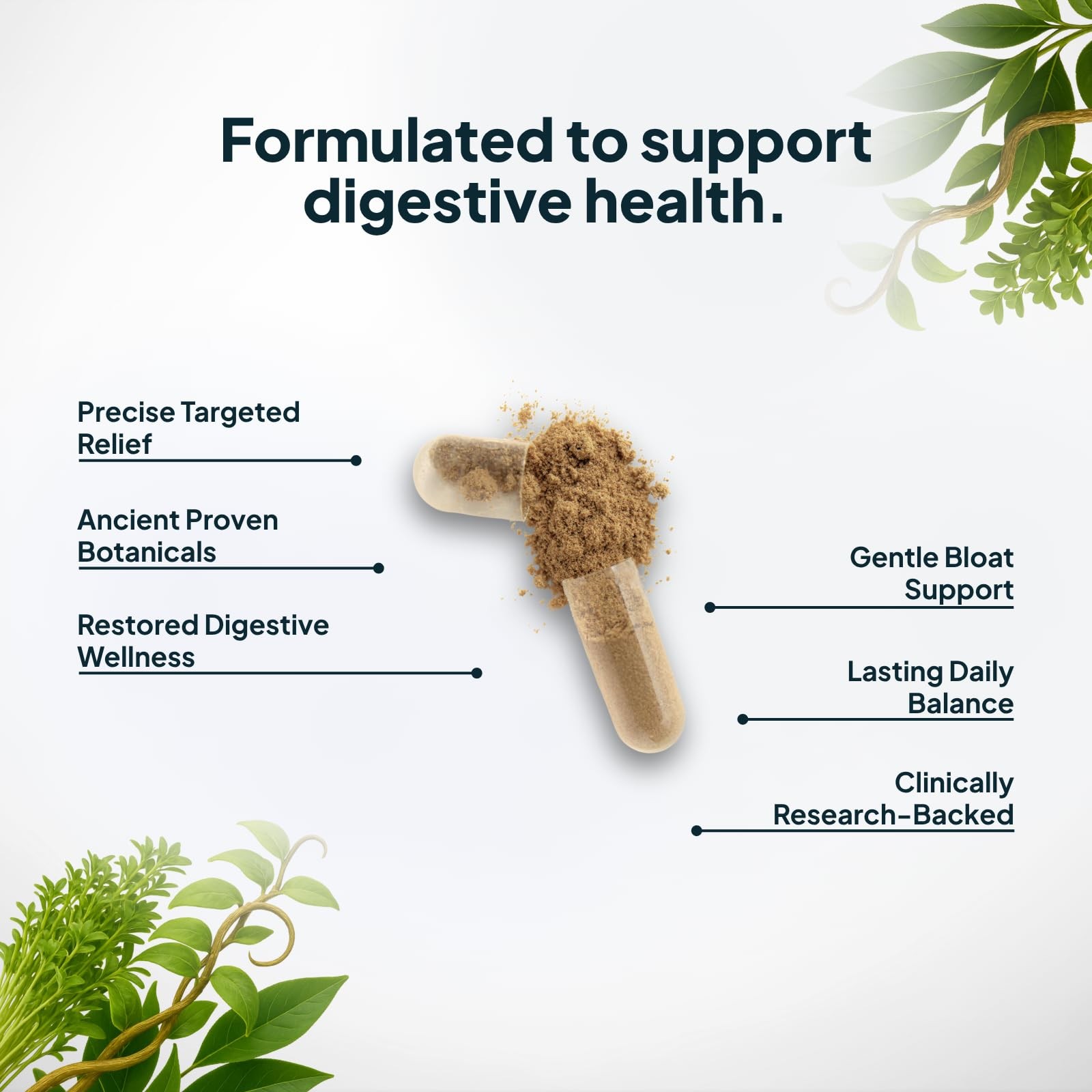 H. Pylori Support | Lactobacillus Reuteri Probiotic with Mastic Gum for Diges…