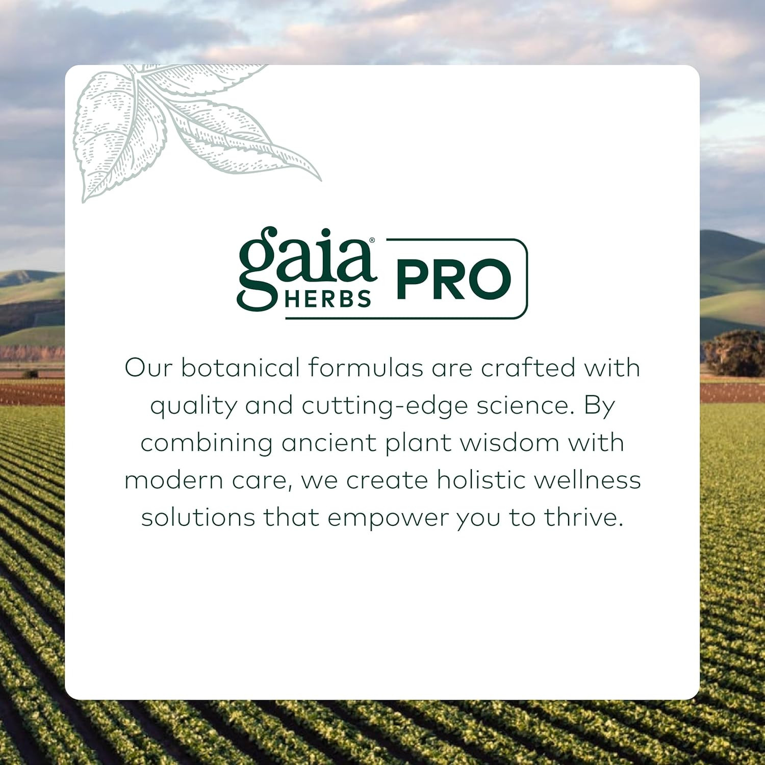 Gaia Herbs Pro Sweet Wormwood Digestive Elimination Support, 2 oz