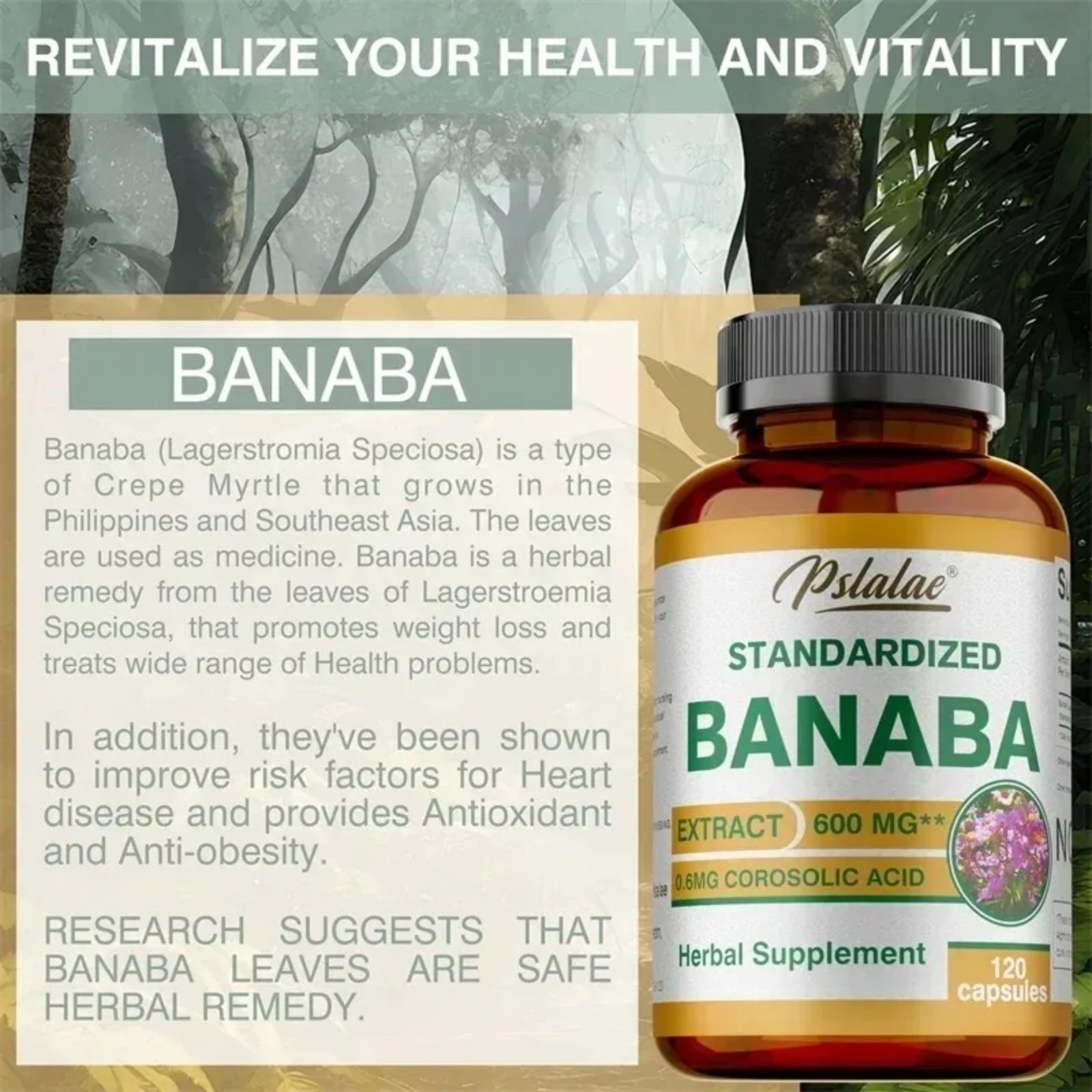 Banaba 240pcs – Supports Heart and Overall Health, Blood Circulation, Metabolism