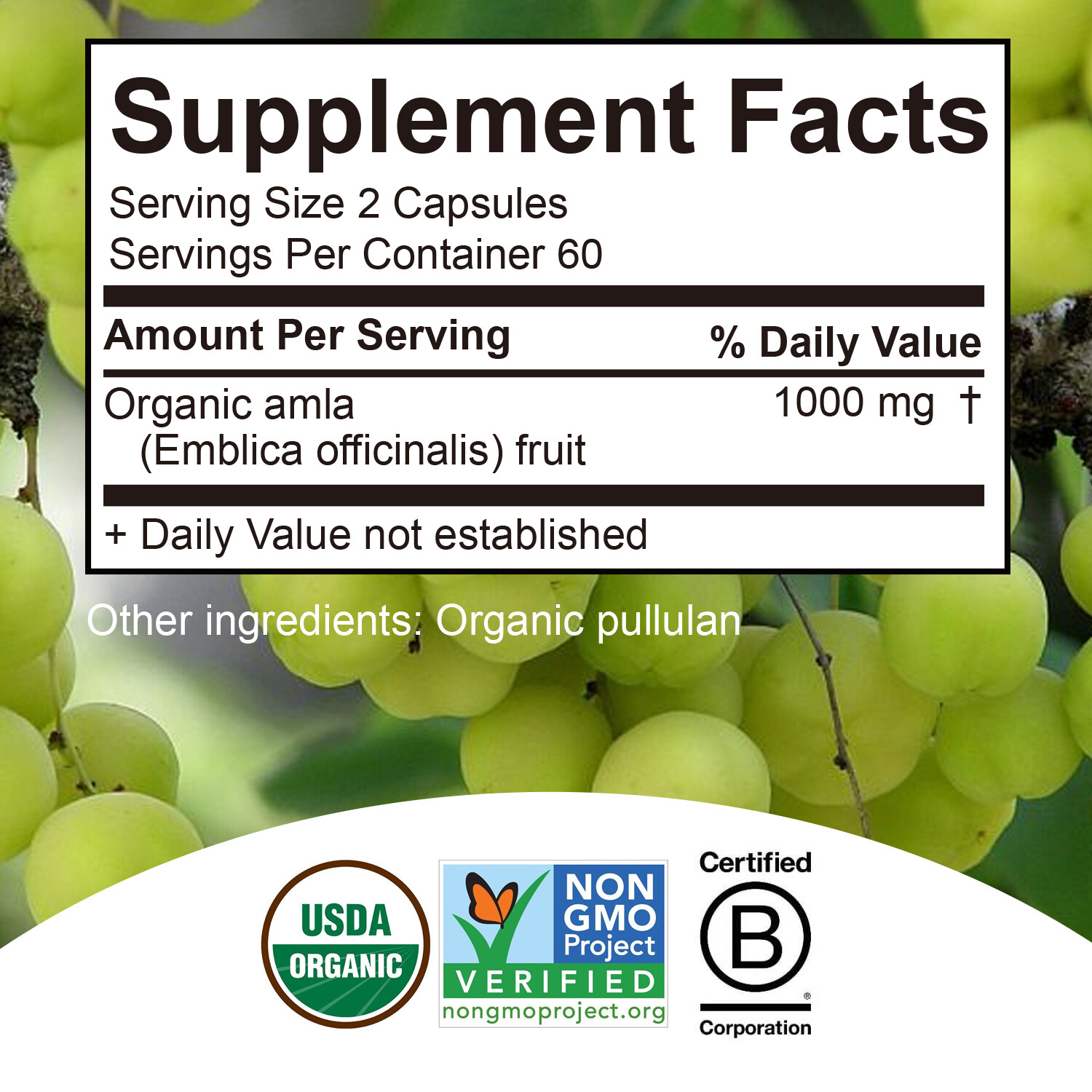 120pcs Amla 1000mg – Detox, Antioxidant, Immune Support, Fighting Free Radicals