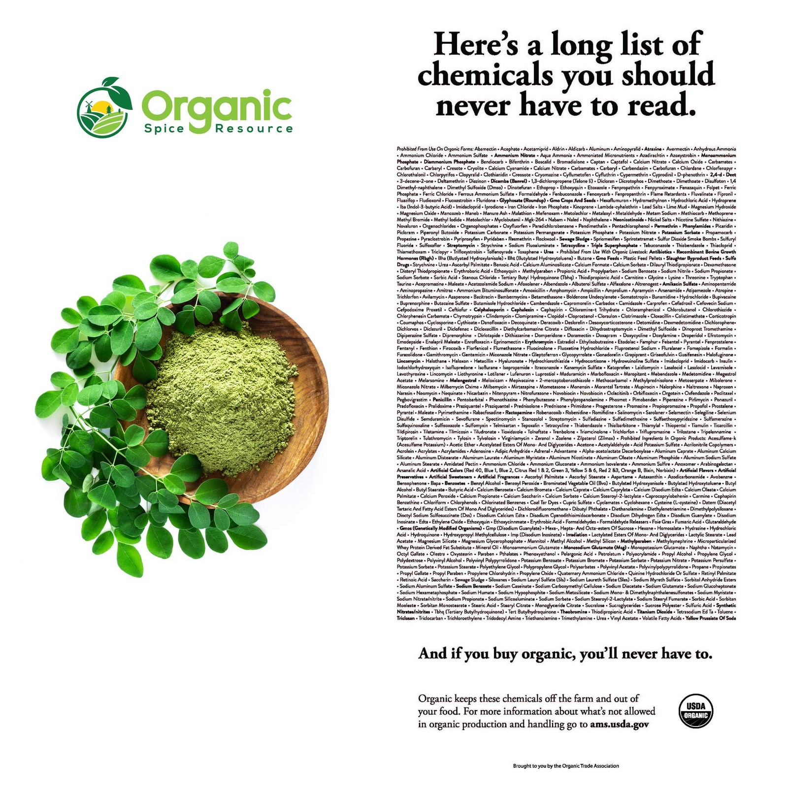 Organic Moringa Powder – 8 oz (226g) | USDA Organics, 8 Ounce (Pack of 1)