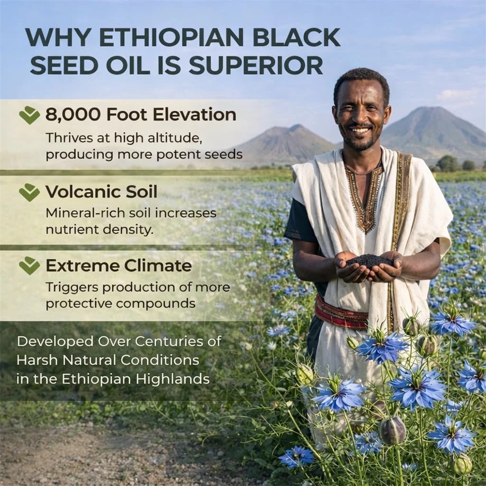 5x Ethiopian Black Seed Oil Softgels |4.64%Thymoquinone |Gluten-Free,60 capsules