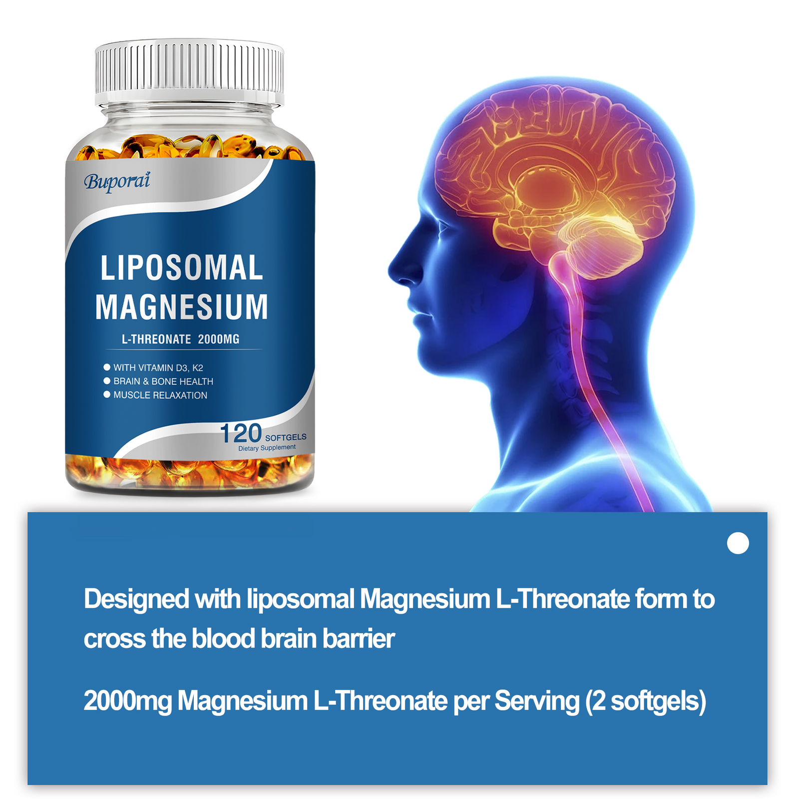 Liposomal Magnesium L-Threonate – Brain, Heart, Bone, Muscle & Sleep Support