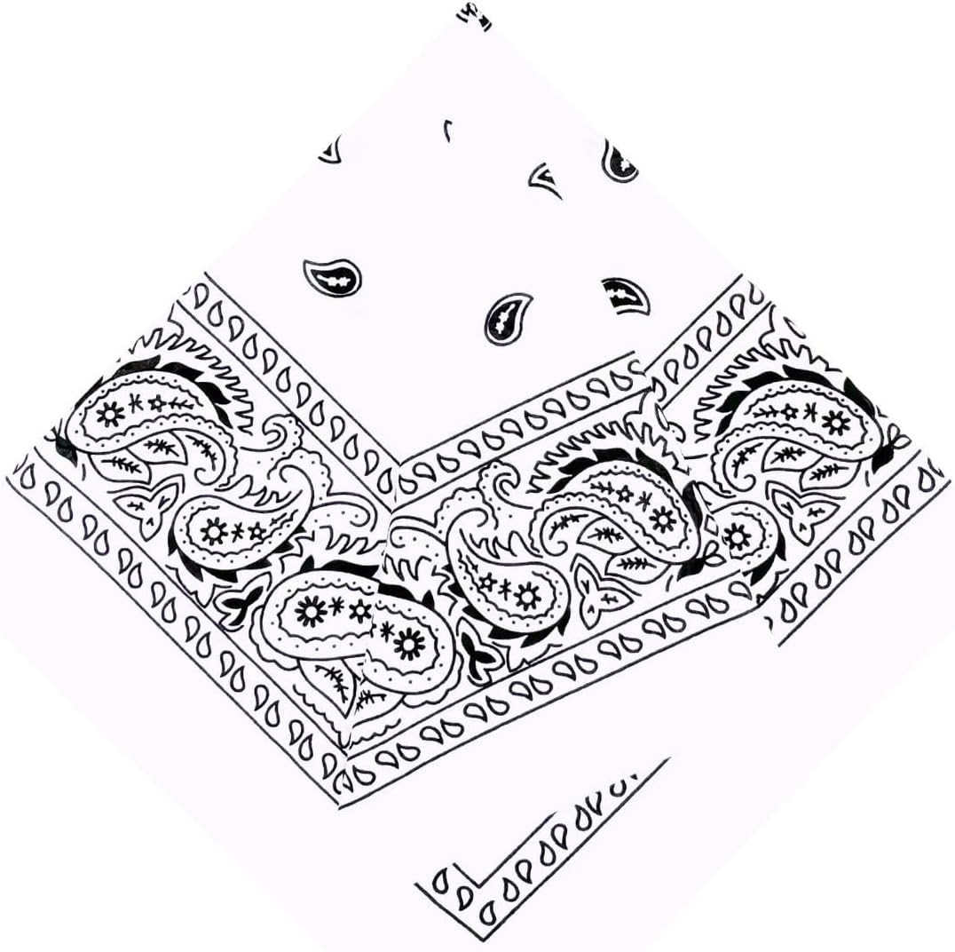 3 Pack Extra Large Bandanas 27” x 27” 100% Cotton for Men & Women Paisley Handke