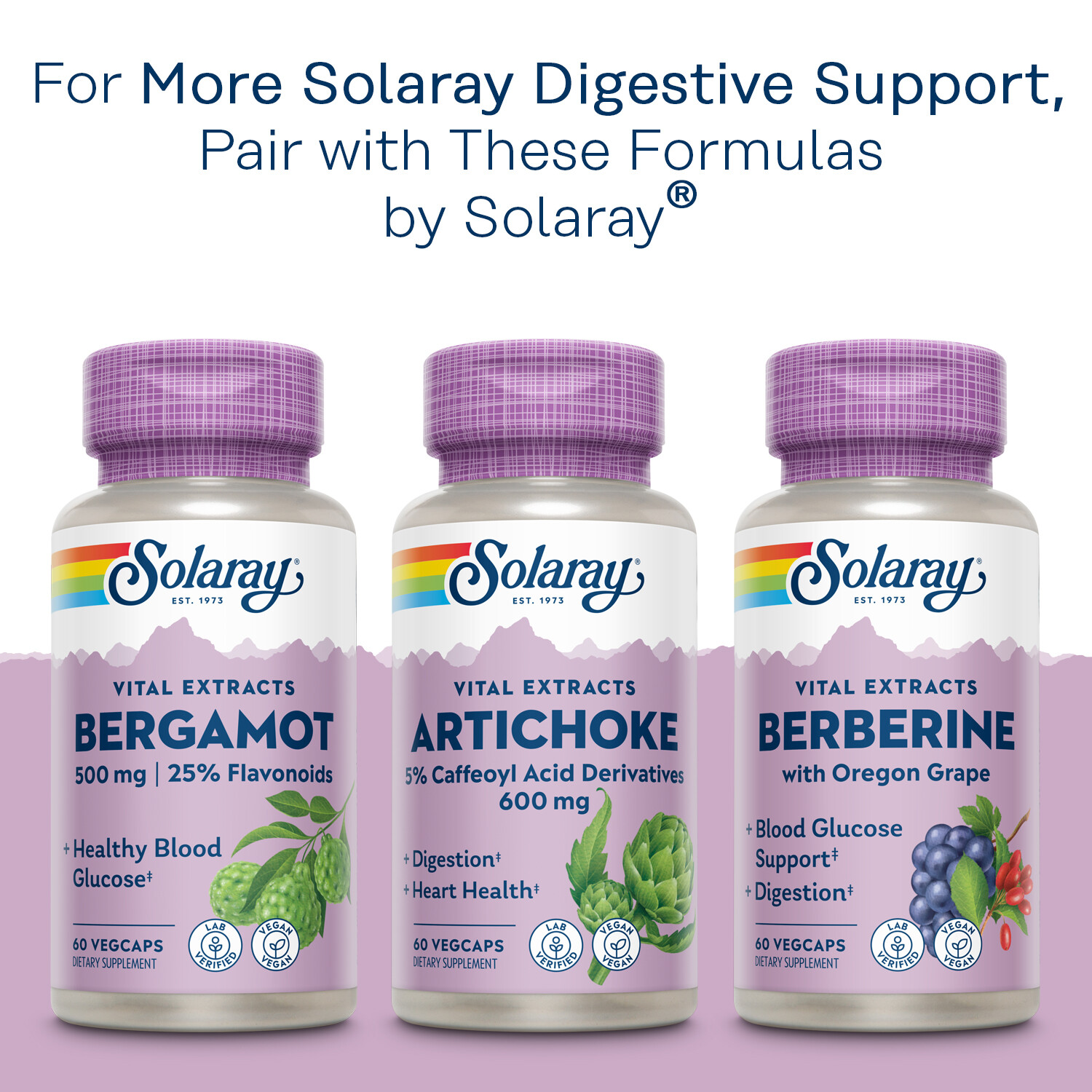 Solaray Mastic Gum Extract 500 mg | 45 Count