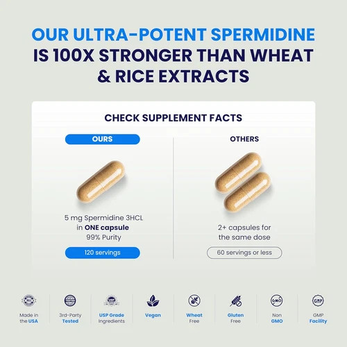 Spermidine Supplements for Longevity – 100x Formula, 5 mg, Vegan, 120 Servings