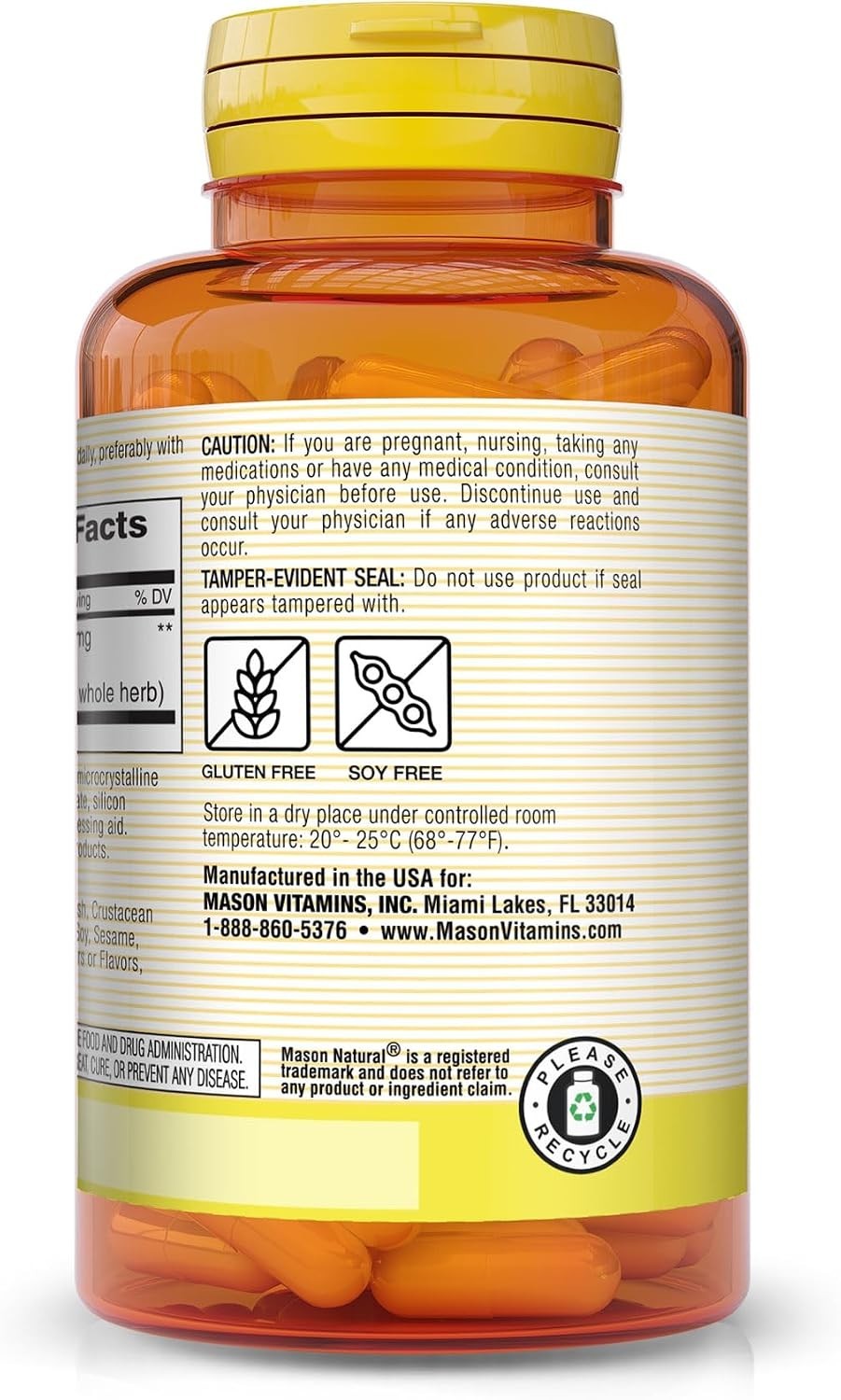 High Potency Ginkgo Biloba Capsules 125 mg for Memory & Concentration – 90 Count