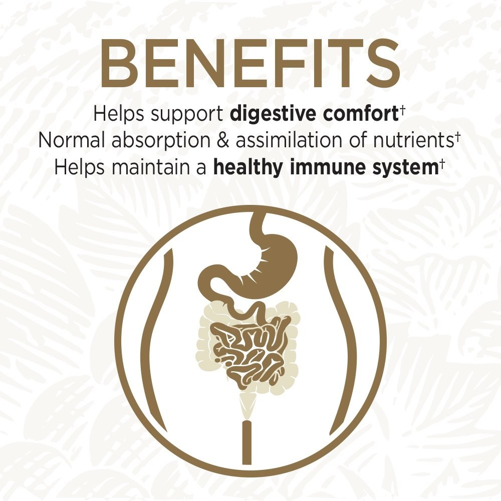 Primal Defense Ultra Probiotic Supplement – 60 Capsules for Gut Health & Immunit