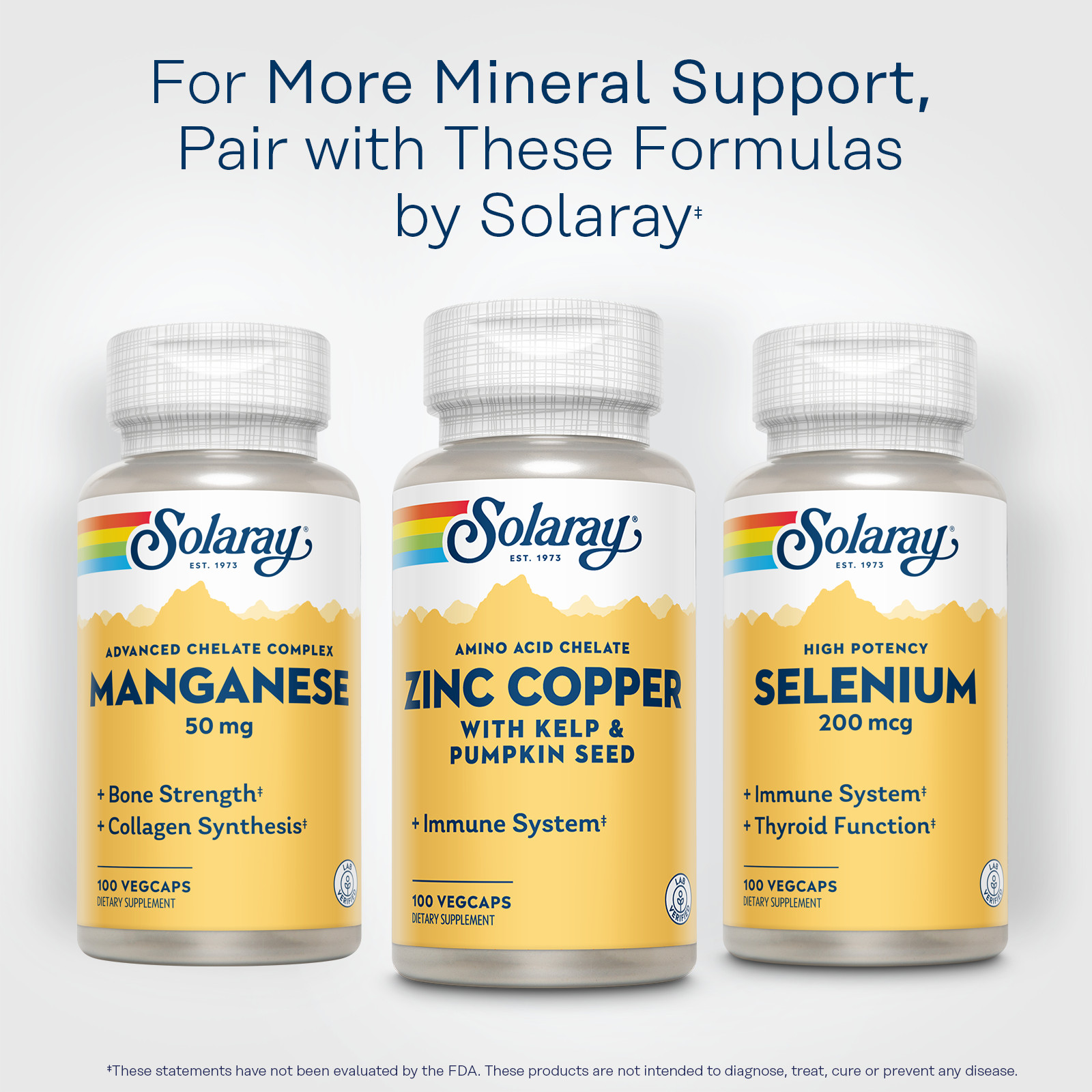 Solaray – Zinc Copper, 50mg / 2mg, 100 capsules