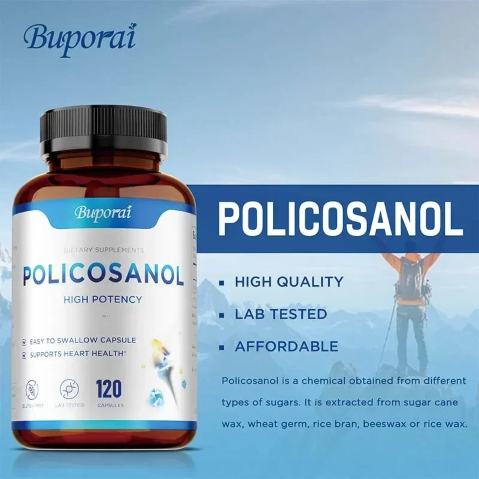 Policosanol 240pcs – Promotes Cardiovascular & Heart Health, Joint Flexibility