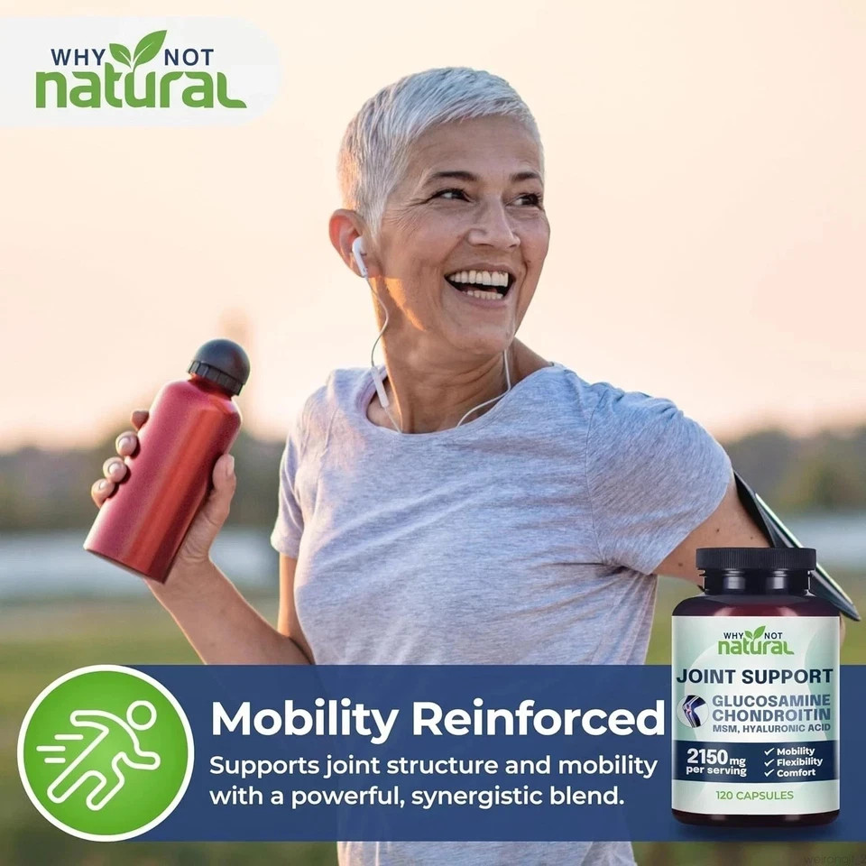 Why Not Natural Glucosamine Chondroitin MSM Joint Support Supplements – 360 Caps