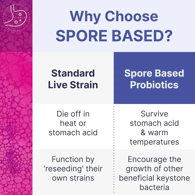 NEW！Mega Sporebiotic 60 Capsules Microbiome Labs, probiotic supplement – 3 PACK