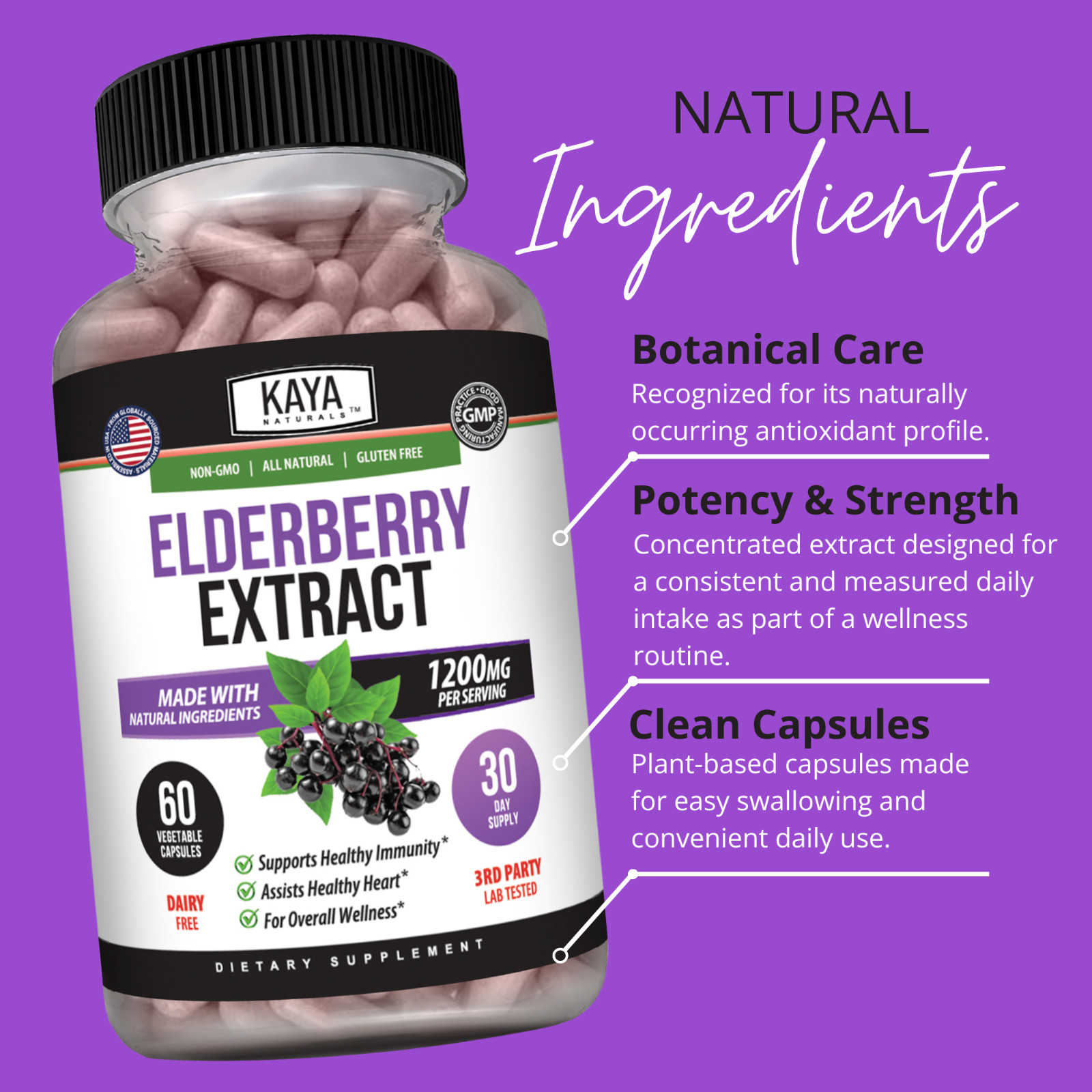 Immune Support 60Ct, Elderberry, Daily Immune and Antioxidants, 1200 mg Capsules