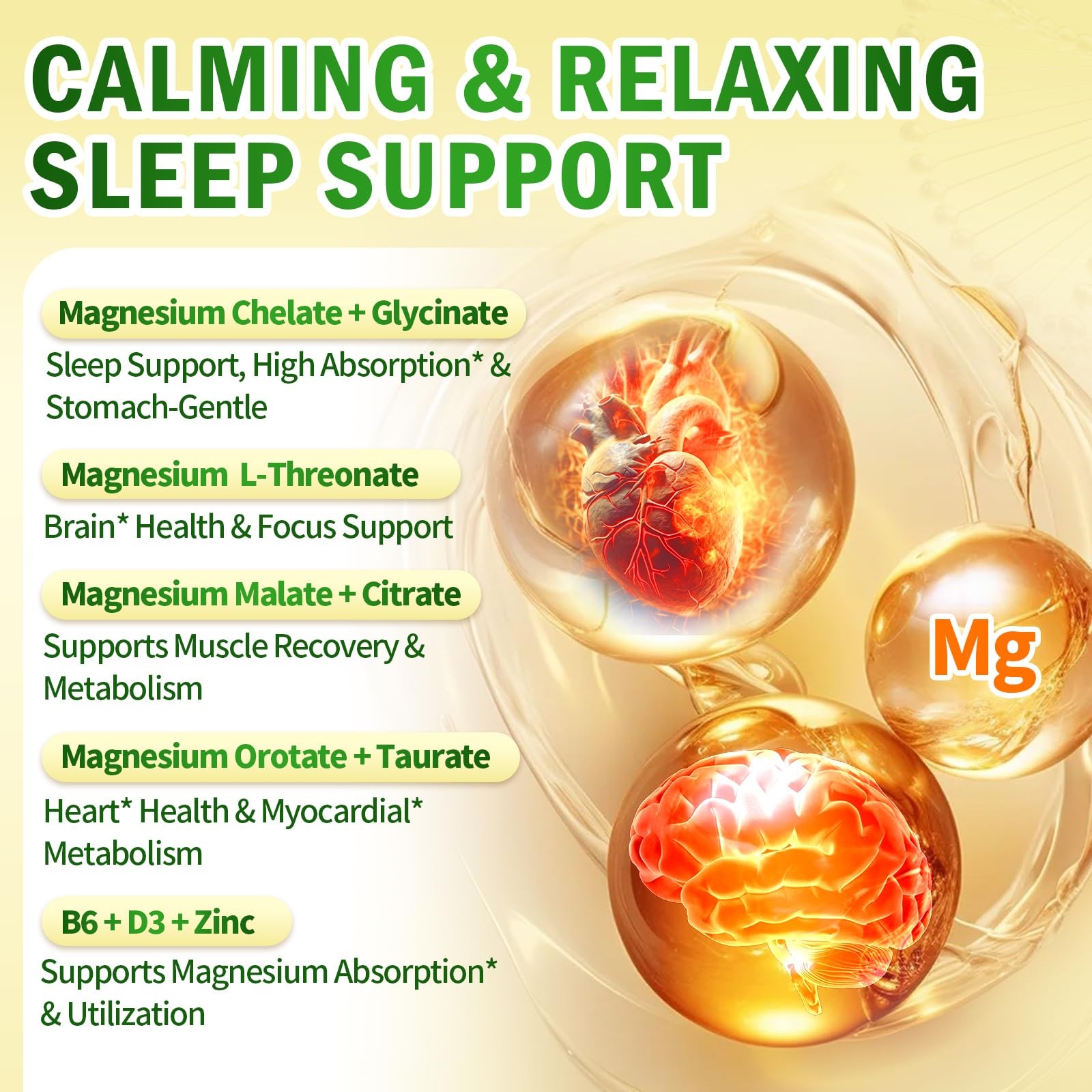VivoNu Magnesium Complex for 240 Count (Pack of 1), 240 Capsules / 1 Bottle