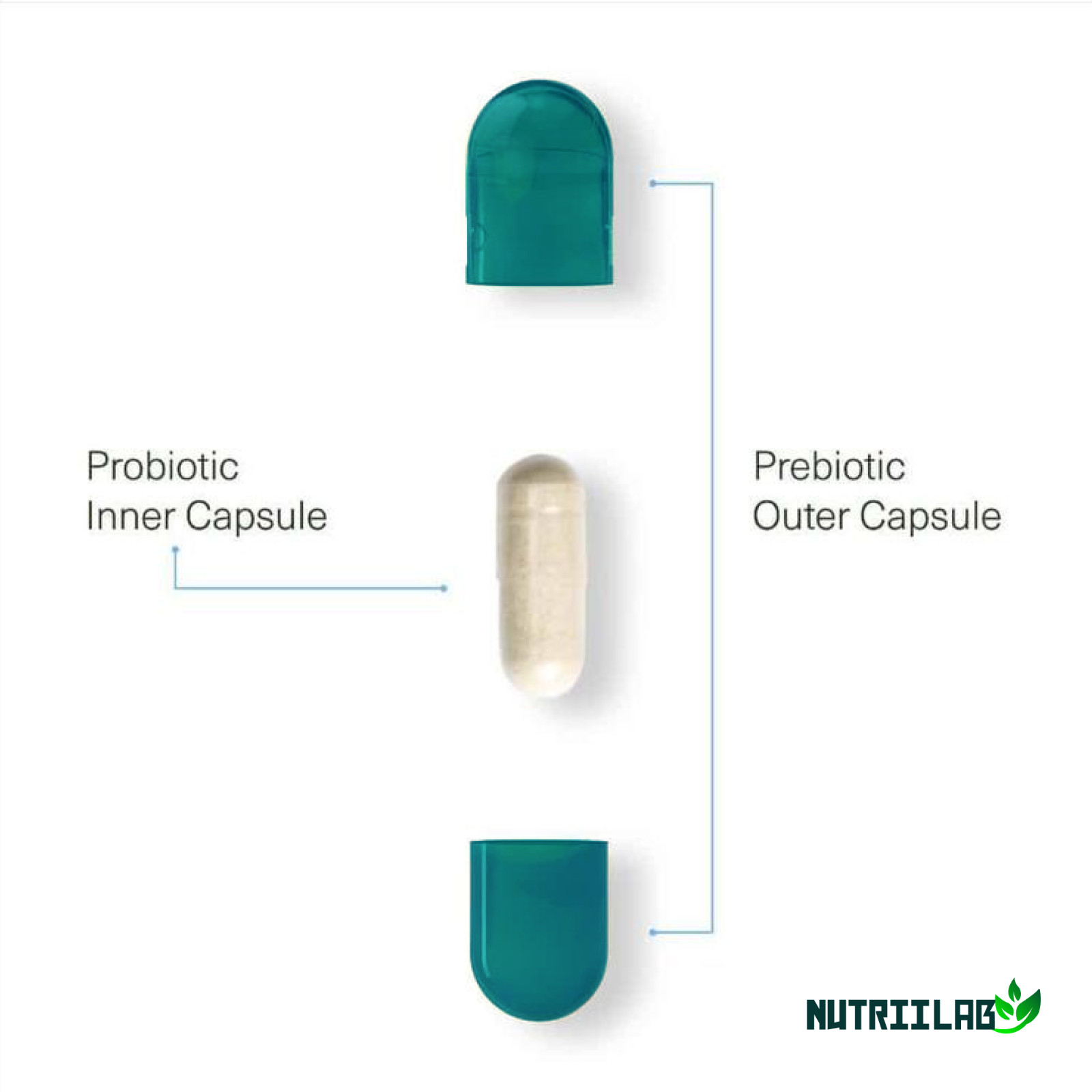 NutriiLab Probiotic Prebiotic 40 Billion CFU Gut Health Digestive 60 Day Supply