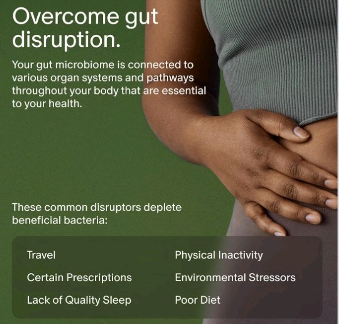 Seed DS-01 Rapid Gut Recovery 14 Day Gut Reset w/ Probiotic Prebiotic Ships FREE