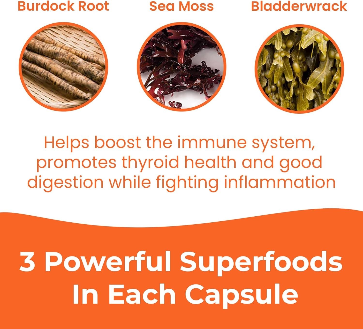 1250mg Sea Moss Advanced Superfood Capsules, 60 Count – High-Potency, , Made …