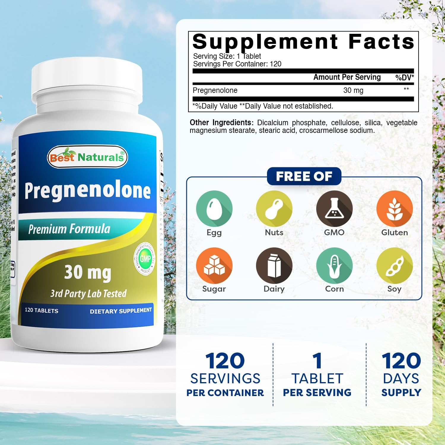 Best Naturals Pregnenolone 30 mg 120 Tablets (120 Count 120 (Pack of 2)